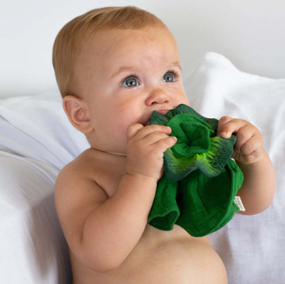 Kendall The Kale Mini Doudou Teether