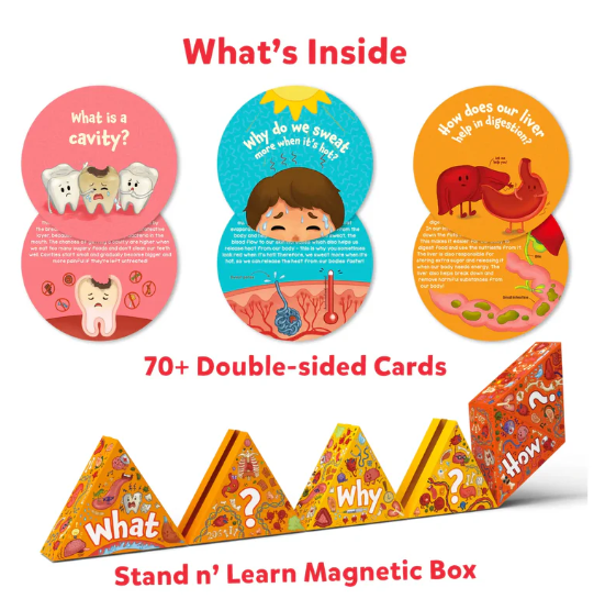 Human Body Science Snippets