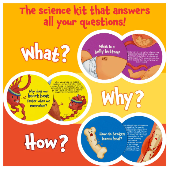 Human Body Science Snippets