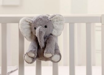 Eli The Elephant Sound Machine