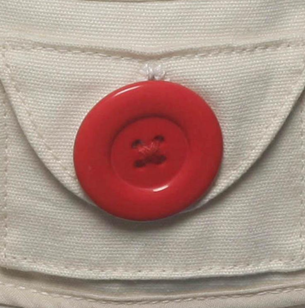 Teach Me Cookie Monster Gund