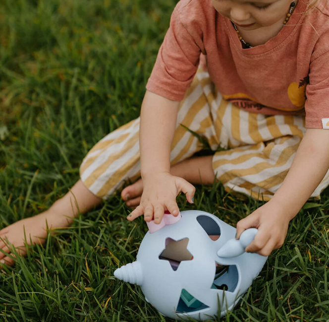 Bright Narwhal Shape Sorter Jellystone