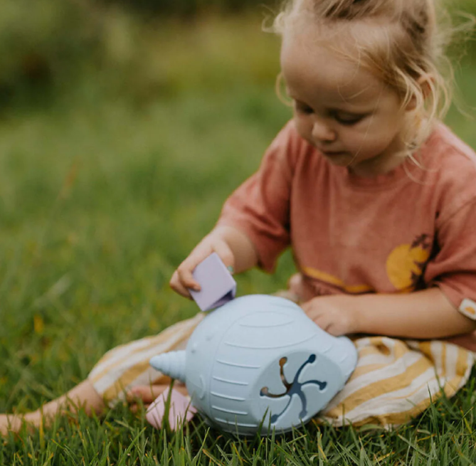 Bright Narwhal Shape Sorter Jellystone