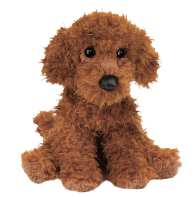 Ginger Miniature Poodle