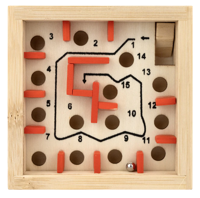 Coral Reef Maze Ecologicals