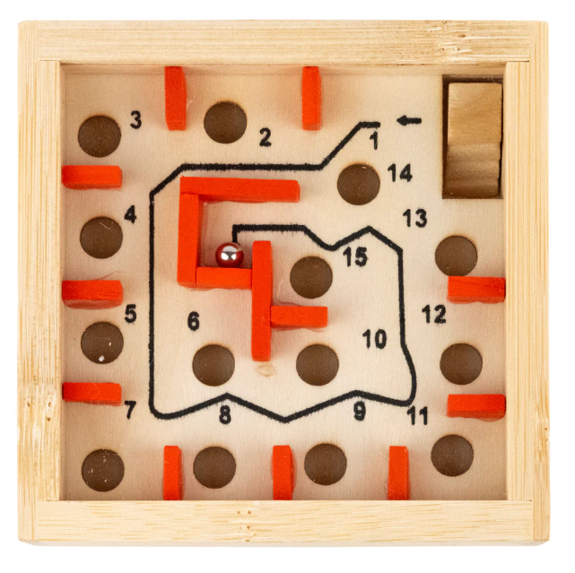 Coral Reef Maze Ecologicals