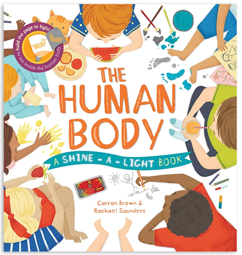 Human Body Shine A Light