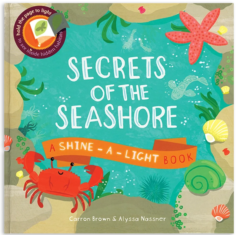 Secrets Of The Seashore Shine A Light