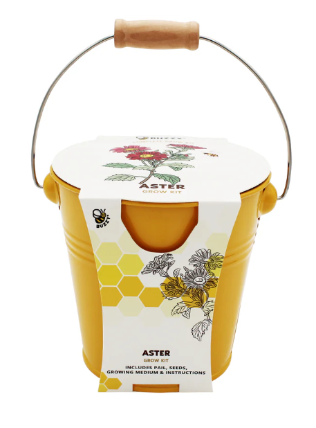 Pollinator Grow Kit (Sold Individually)