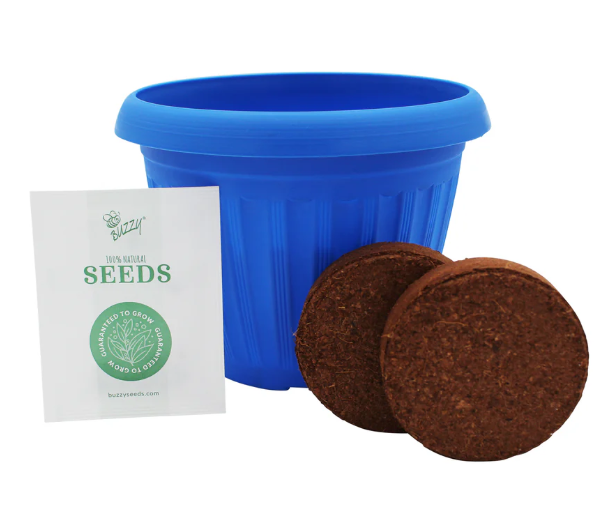 Chaos Garden Flower Grow Kit Buzzy Seeds