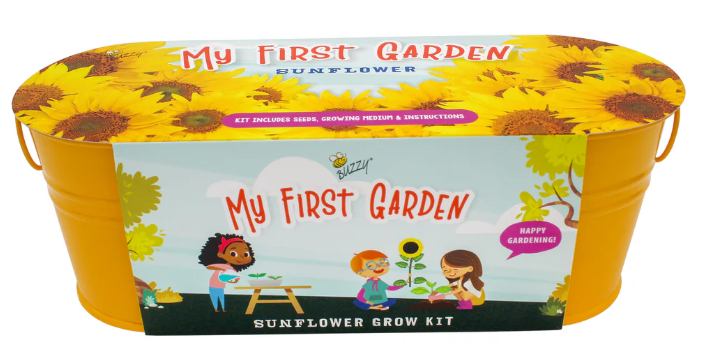 My First Garden Sunflower