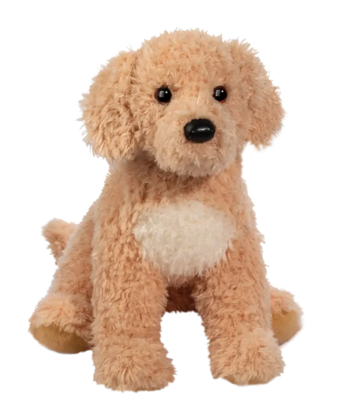 Noodle Golden Doodle