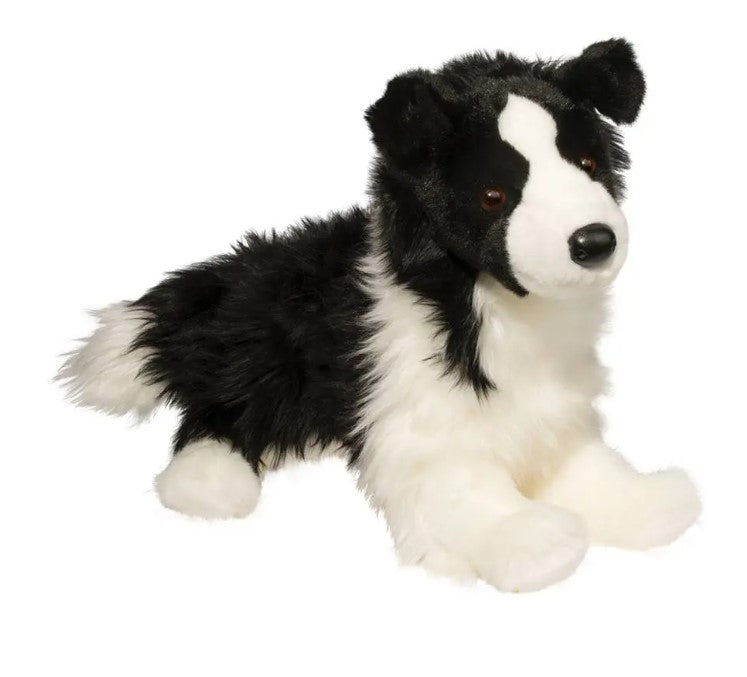 Chase Border Collie