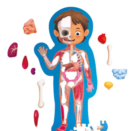 60 pc Human Body Floor Puzzle