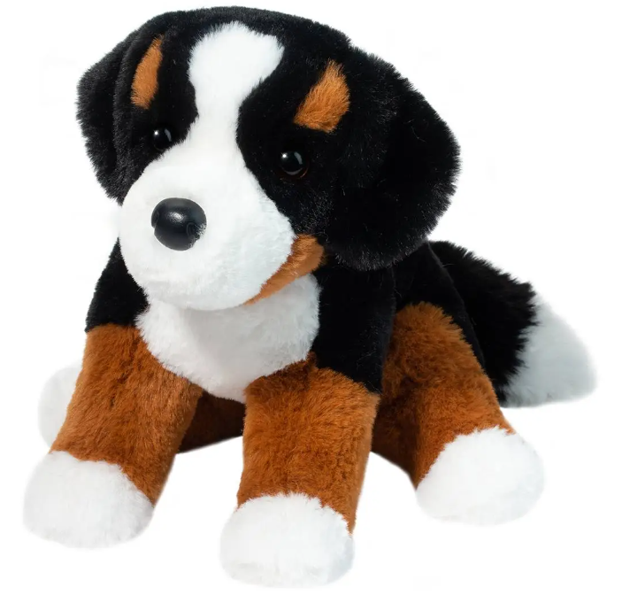 Bowie Bernese Mountain Dog