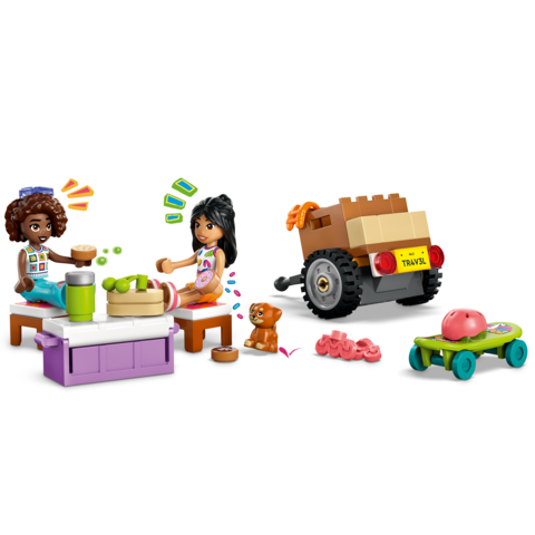 LEGO® Friends Friendship Road-Trip Travel Car