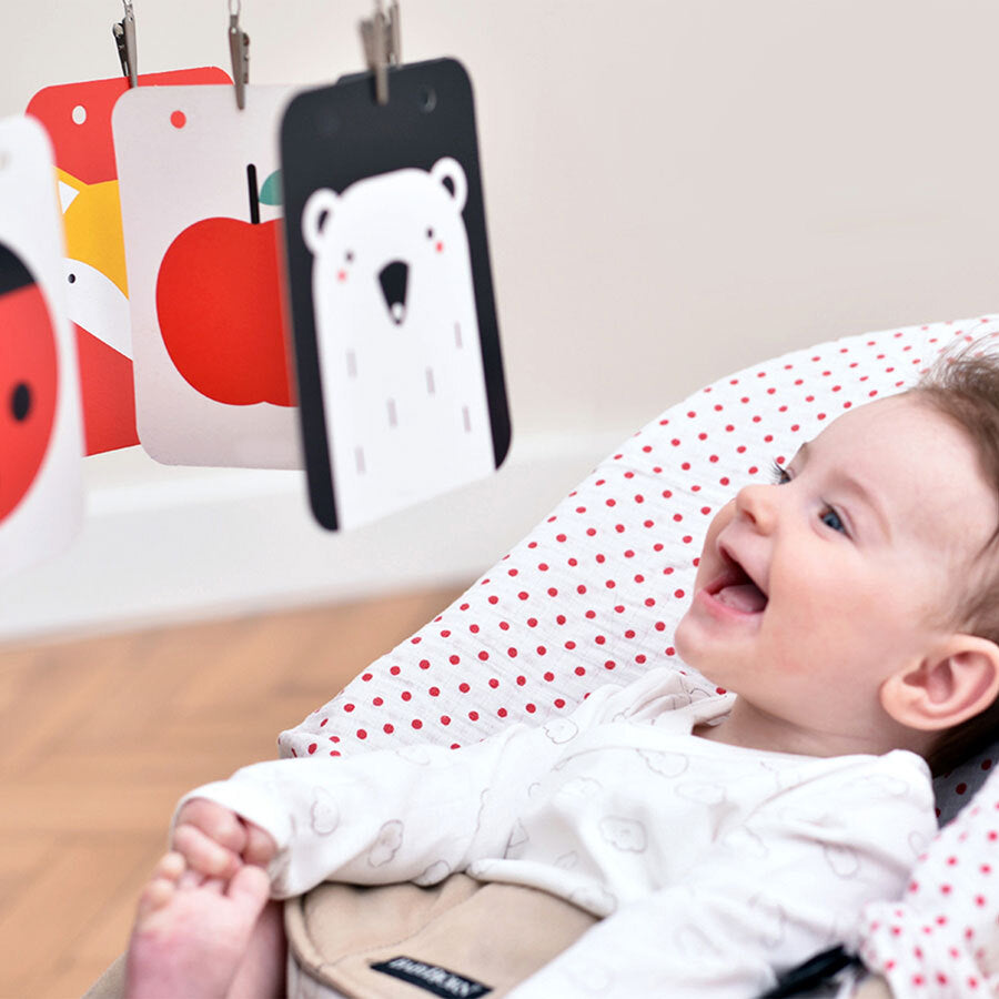 High Contrast Baby Pack