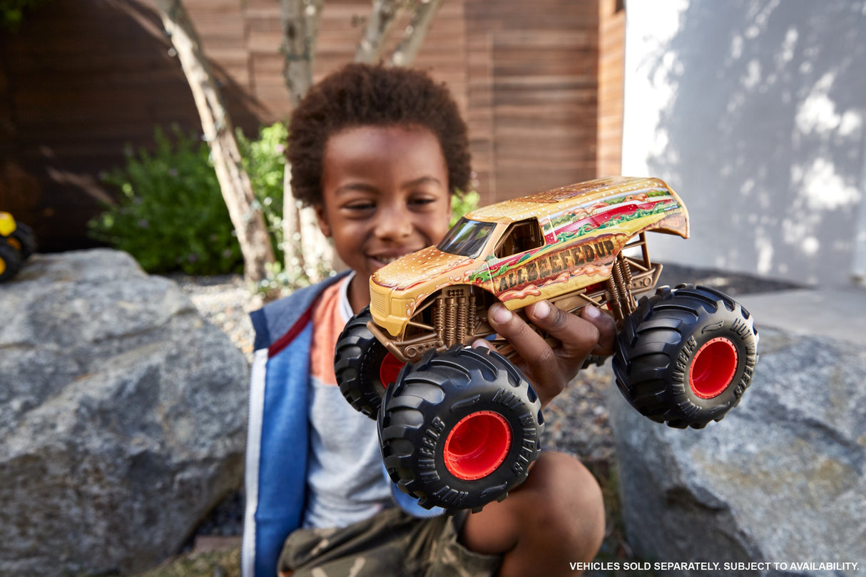 Hot Wheels Monster Trucks Oversized (assorted)