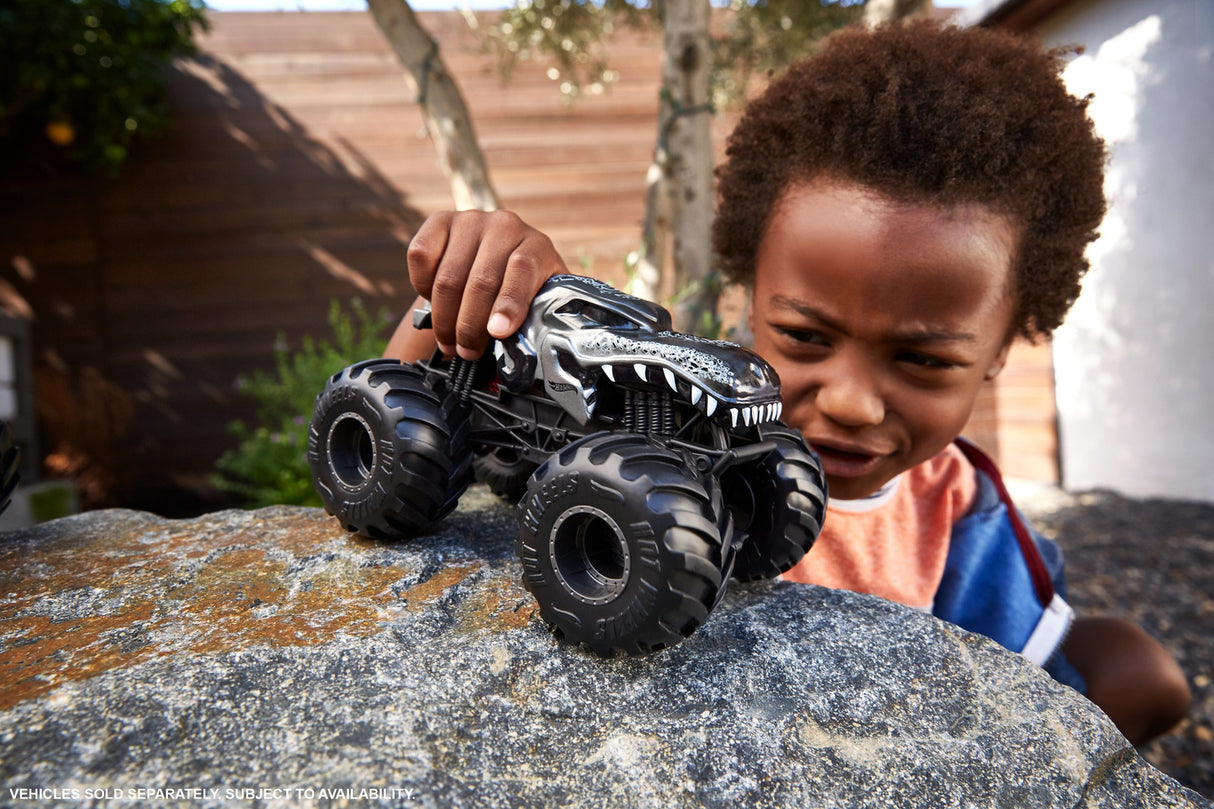 Hot Wheels Monster Trucks Oversized (assorted)