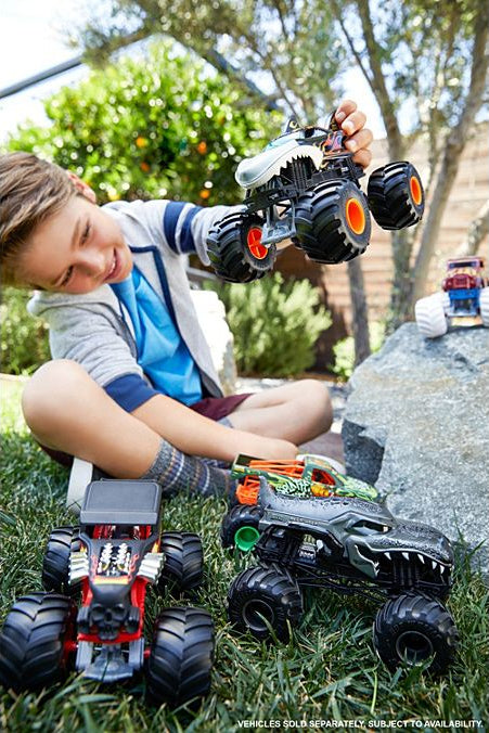 Hot Wheels Monster Trucks Oversized (assorted)