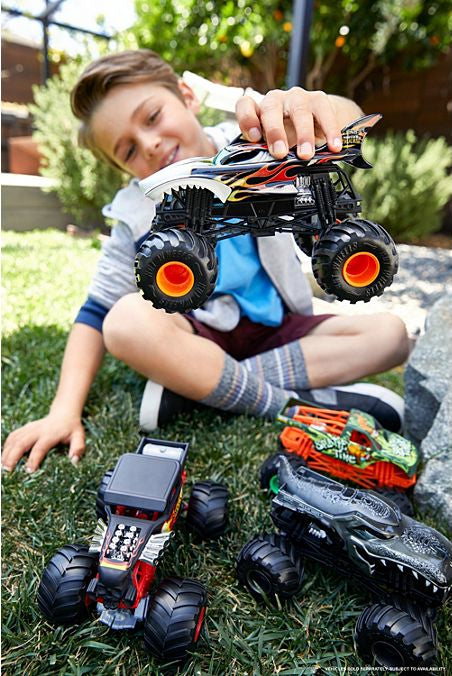 Hot Wheels Monster Trucks Oversized (assorted)