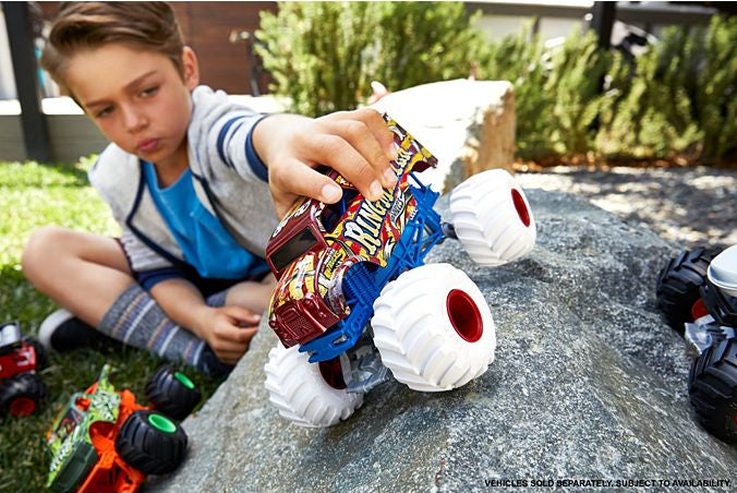 Hot Wheels Monster Trucks Oversized (assorted)