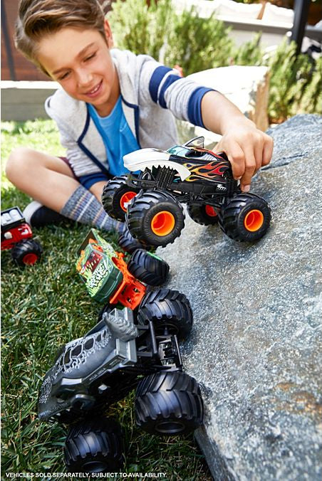 Hot Wheels Monster Trucks Oversized (assorted)