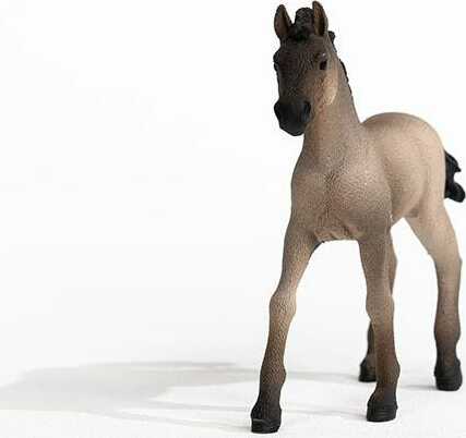Criollo Definitivo Foal