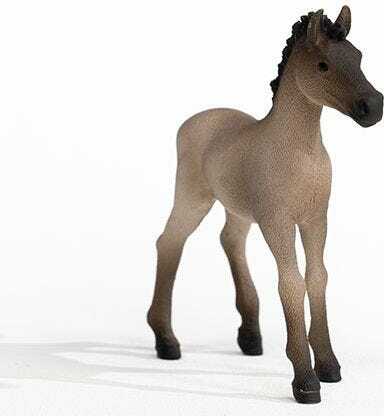 Criollo Definitivo Foal