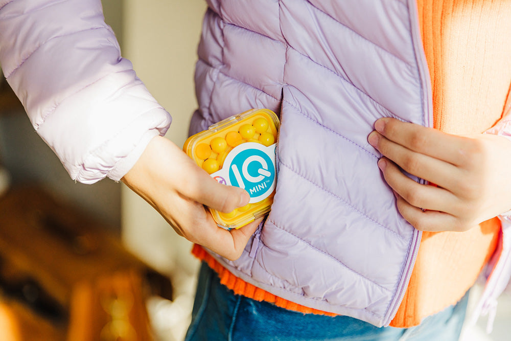 IQ MINI Puzzle Game (sold individually)