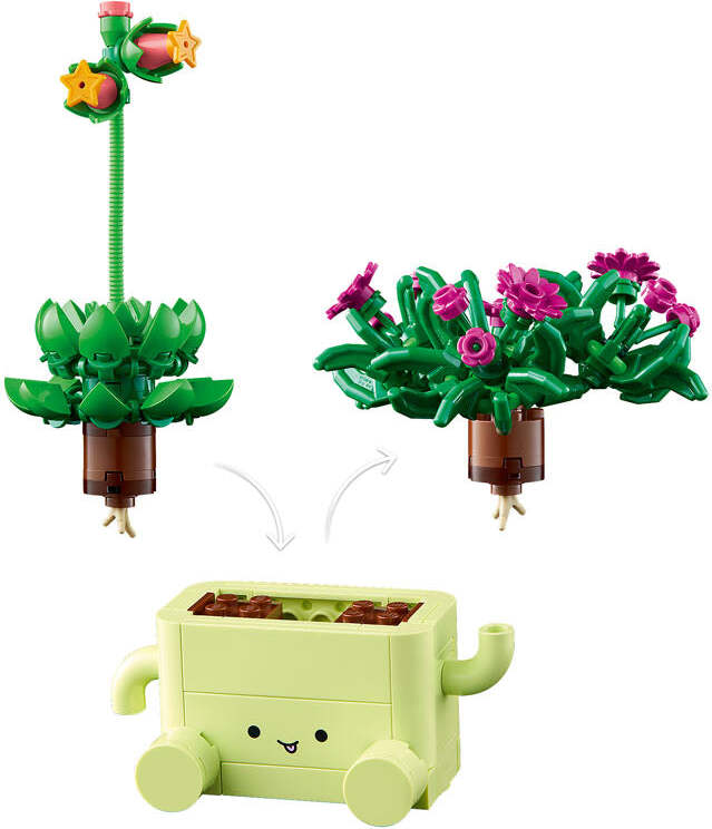 BOTANICALS Rocking Plants
