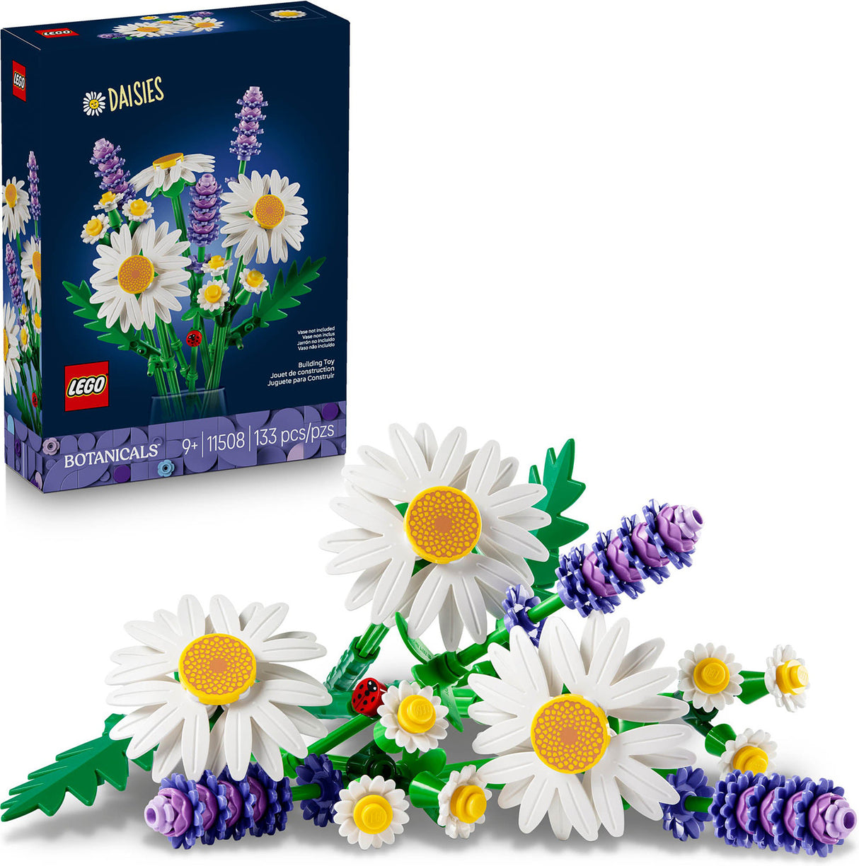 BOTANICALS Daisies