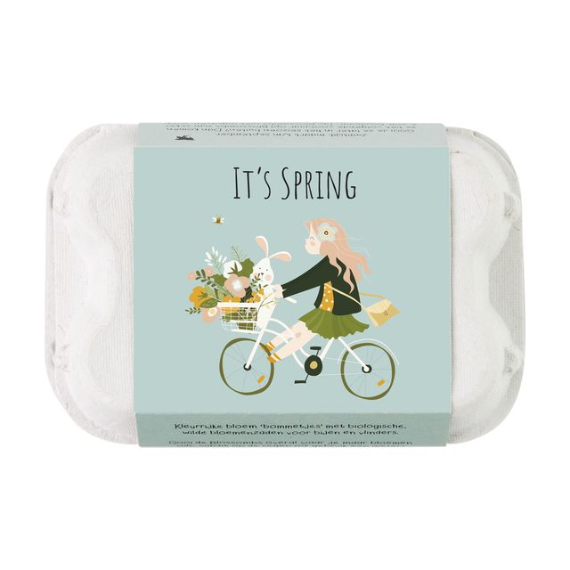 It's Spring Blossombs Egg Box