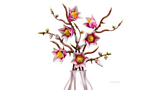 LEGO® Botanicals Magnolia Branches
