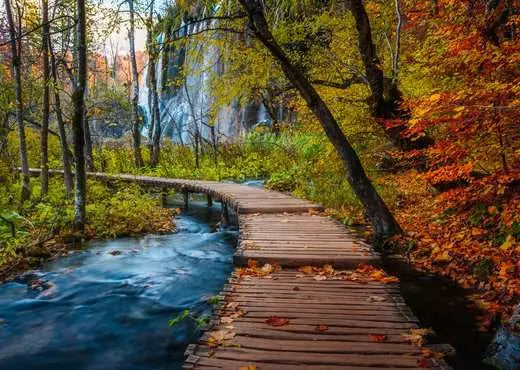 1000 pc Autumnal Forest Path Puzzle