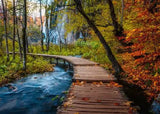 1000 pc Autumnal Forest Path Puzzle