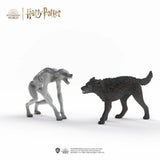 Werewolf Vs Animagus