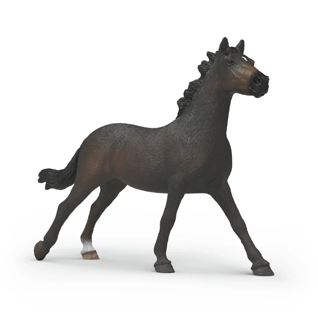 English Thoroughbred Mare