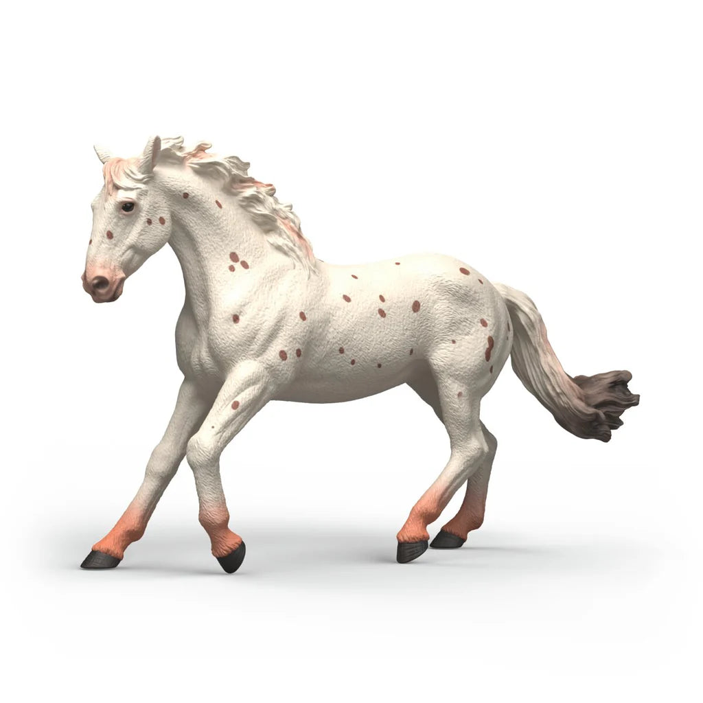 Knabstrupper Mare