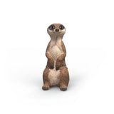 Meercat