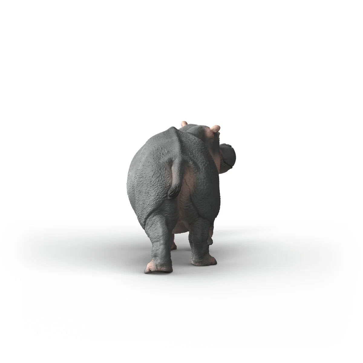 Hippopotamus