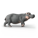 Hippopotamus