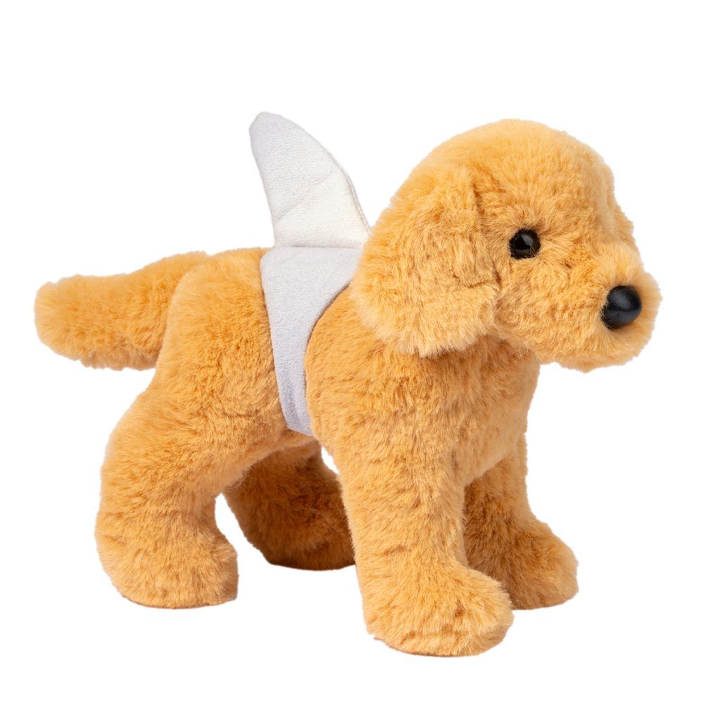 Shaky Golden Retriever