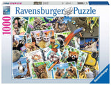 1000 pc Traveler's Animal Journal Puzzle