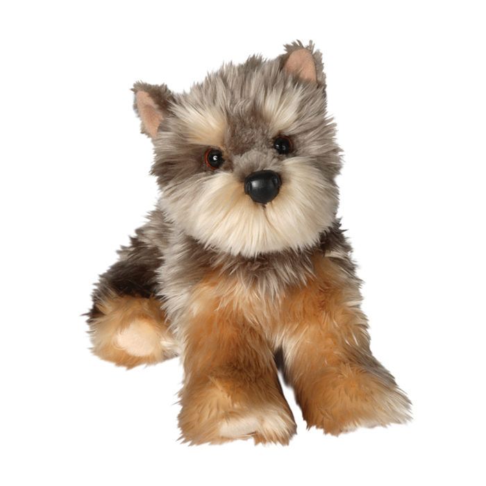 Yettie the Yorkshire Terrier
