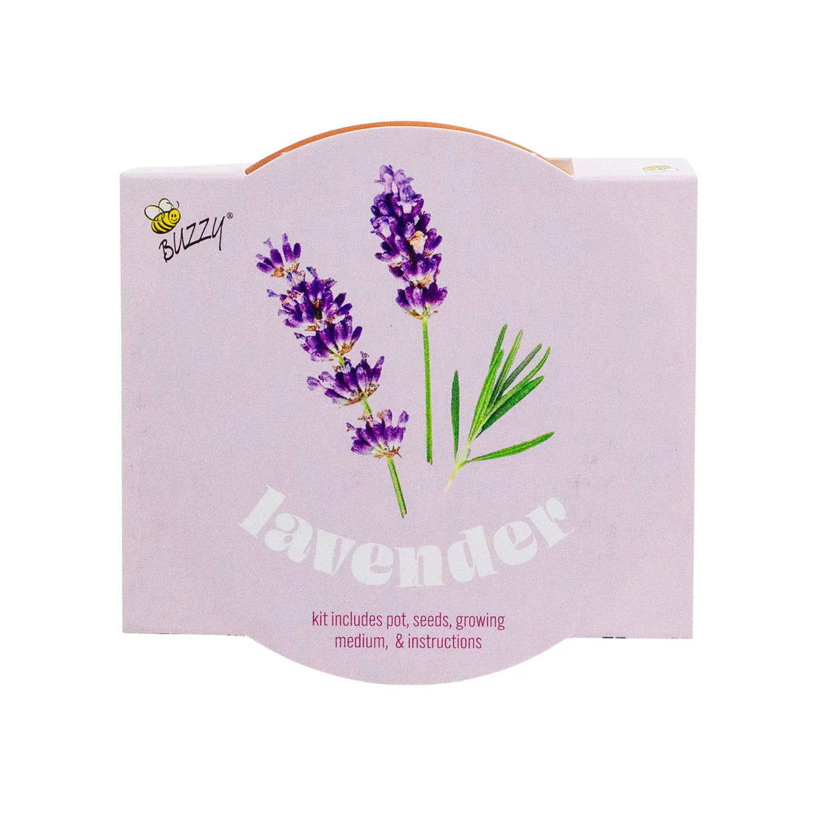 Classic Lavender Terra Cotta