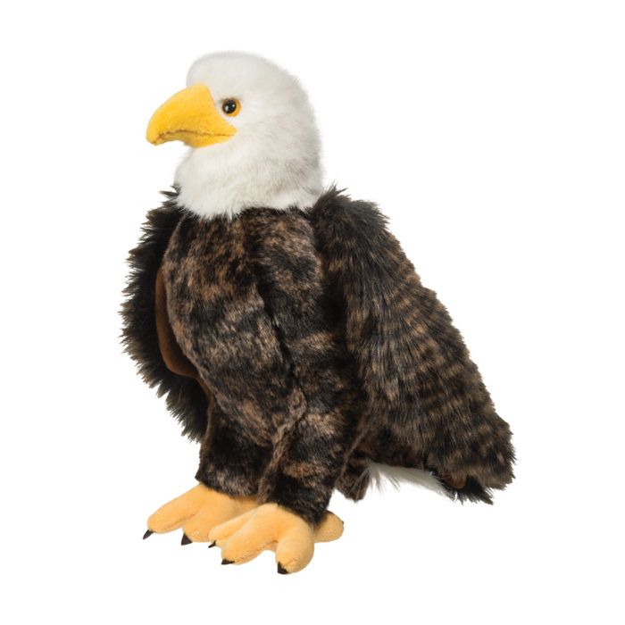 Adler Bald Eagle