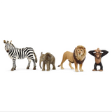 Wild Life Africa Starter Kit