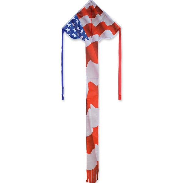 Patriotic Easy Flyer Kite