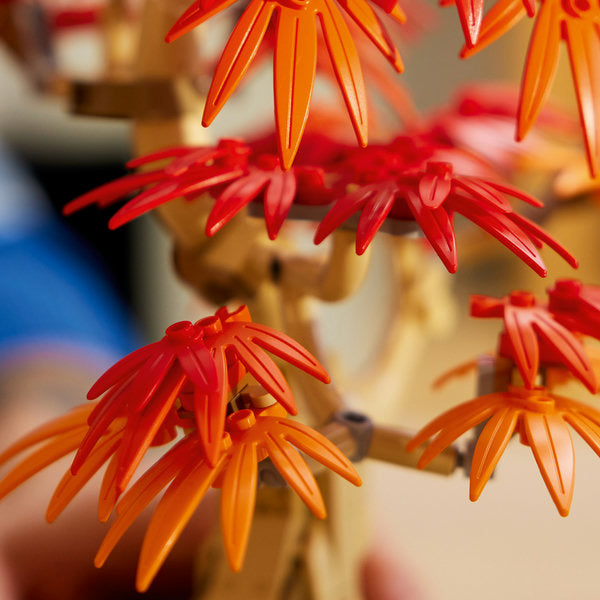 LEGO® Botanicals Japanese Red Maple Bonsai Tree